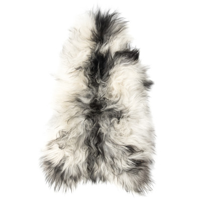 Molly spotted - langhåret fåreskind økologisk