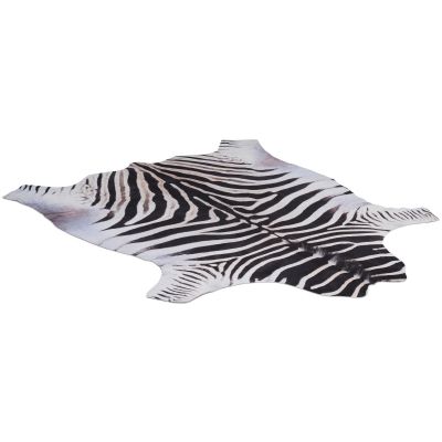 Zebraskind - kohud i kunstmateriale