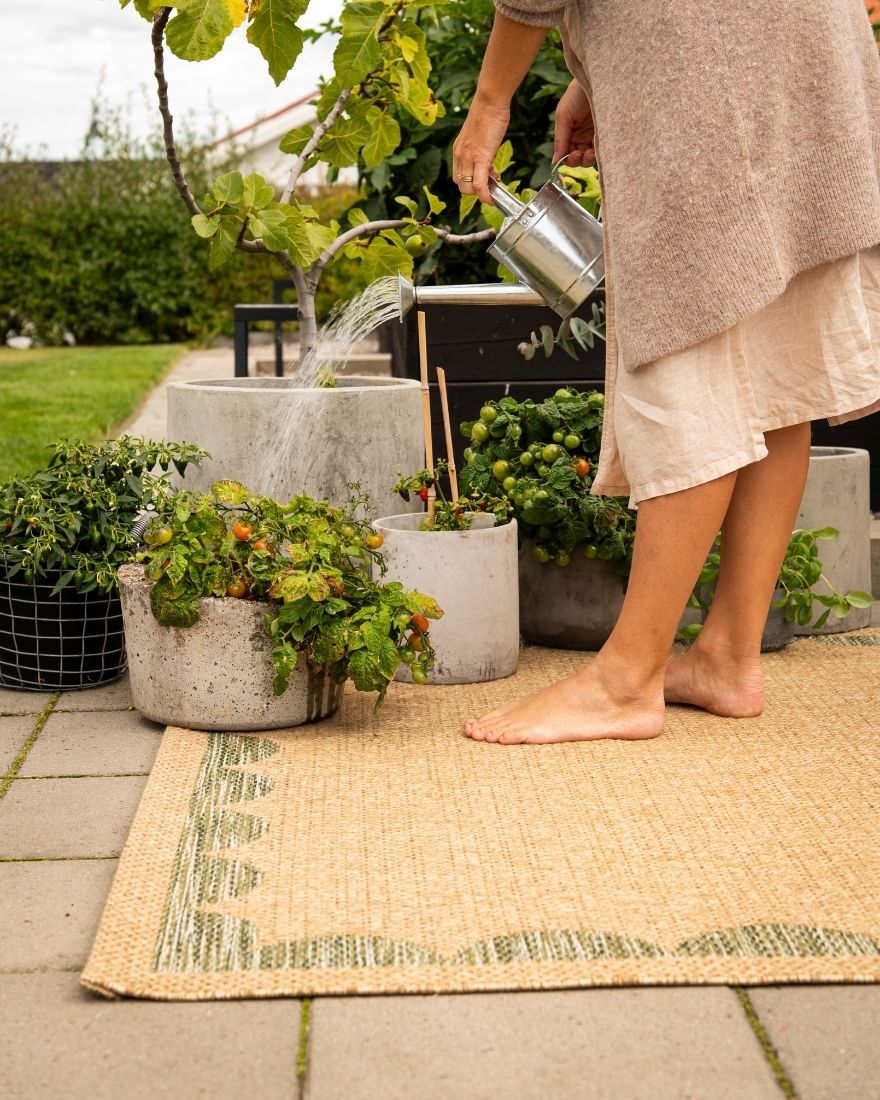 Botaniser blandt tæpper til udestuen, altanen og balkonen